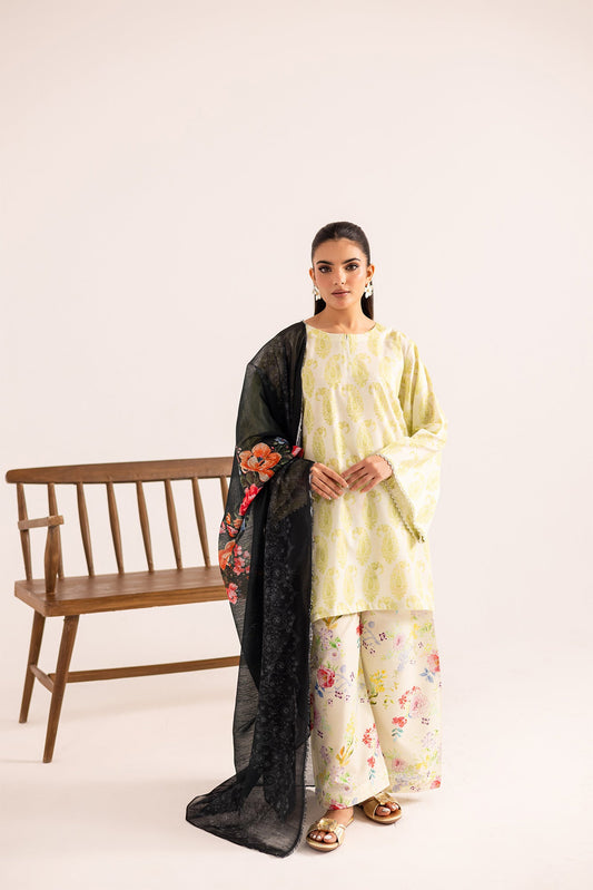 3PC Printed Basic - PRT3047