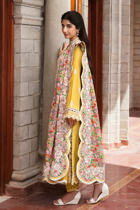 FERESHTEH (ZF23-01)
