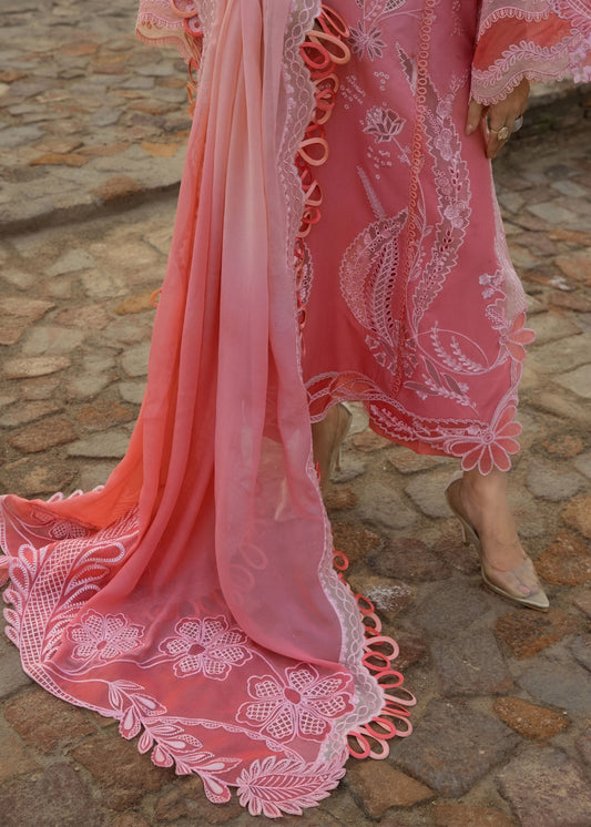 ALL THINGS OMBRE - D1B