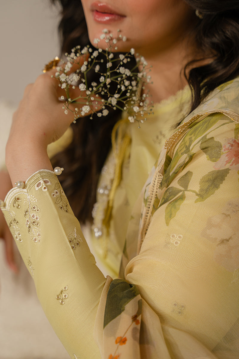 SAPID FOLIATE-3 PIECE