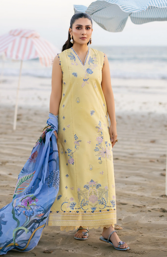 Areen