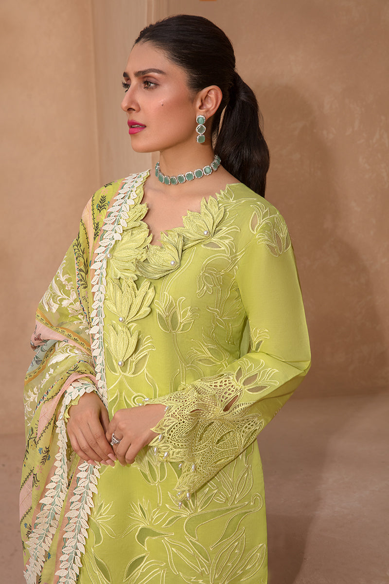 LIME