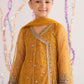 3 Piece Embroidered Net Suit