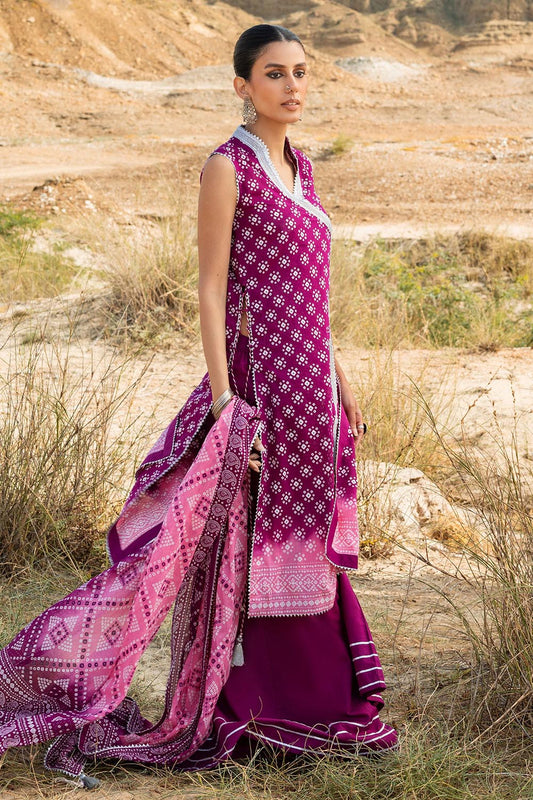 3 Piece Printed Lawn Suit CL-62109 B