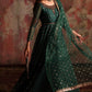 2-PC Embroidered Net Pishwas Suit stm-5-08