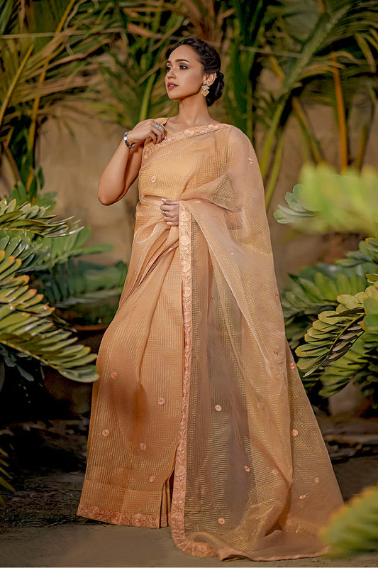 Zari Organza Luxury Saree | TITLIYAN | SR202115