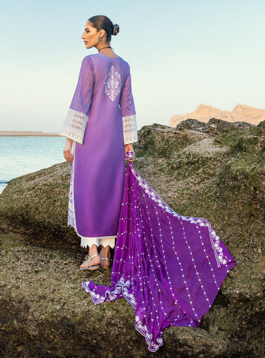 AFSANA 8A
